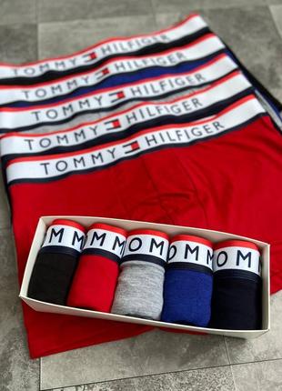 Мужской набор трусов tommy hilfiger white  5 шт