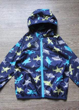 Куртка. дождевик.