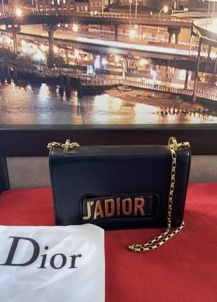 Сумка клатч в стиле dior 6