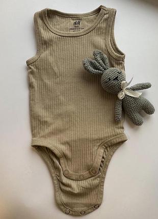 Бодік в рубчик