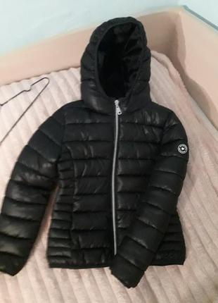 Фирменная курточка, весна