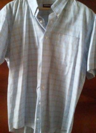 Чоловічі сорочки kirkland