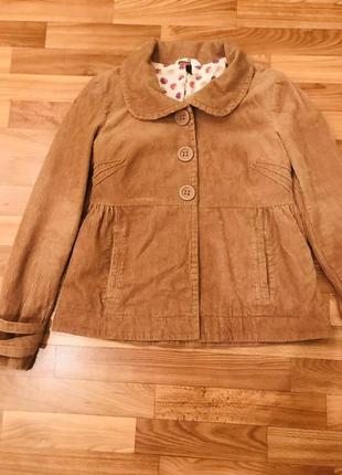 Жакет вельветовий