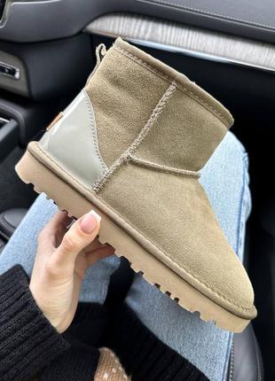 Уггі замшеві ugg classic mini grey suede преміум якість, післяп