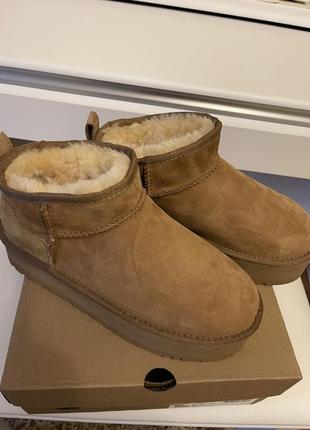 Ugg mini сапожки ботінки чобітки 6