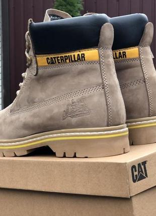 Теплые сапоги на меху caterpillar2 фото