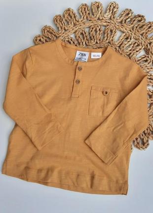 Реглан zara