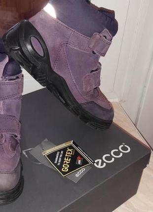 Зимние ботинки ecco gore-tex