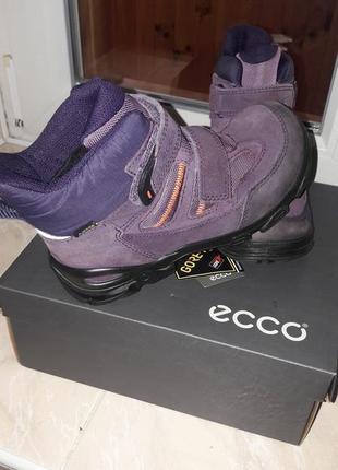 Зимові черевики ecco gore-tex2 фото