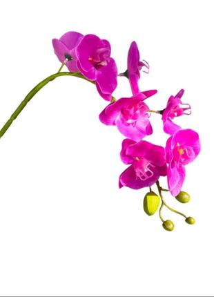 Букет набор цветок орхидея искусственный букет интерьерный1 фото