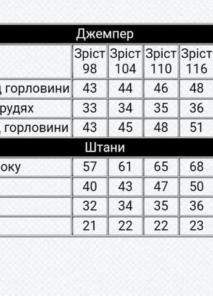 Теплий спортивний костюм в кольорах, теплий костюм з начосом, тёплый спортивный костюм2 фото