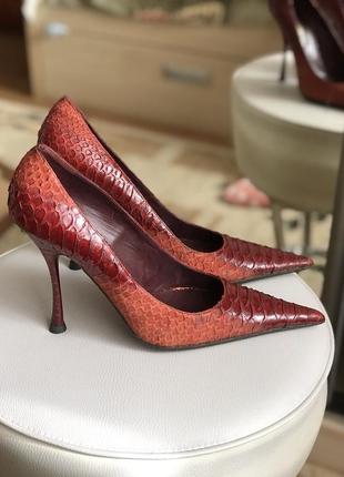 Туфли gianmarco lorenzi из кожи питона1 фото