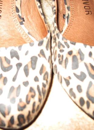 Леопардові стильні туфлі р37 next еко замша4 фото