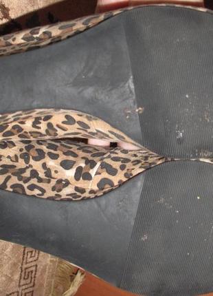 Леопардові стильні туфлі р37 next еко замша5 фото