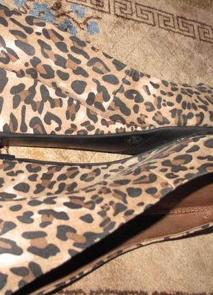 Леопардові стильні туфлі р37 next еко замша6 фото