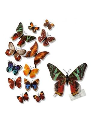(12 шт) набор бабочек 3d на магните, цветные