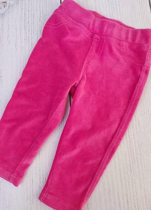 Лосіни велюрові