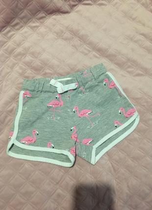 Шортики на девочку 2-3 года