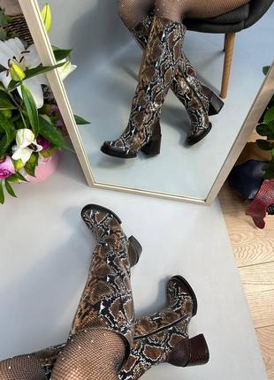 Эксклюзивные сапоги из натуральной итальянской кожи рептилия женские на каблуке10 фото