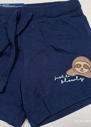 Шорти з лінивцем 2