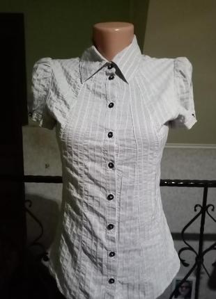 Блуза блузка блузочка