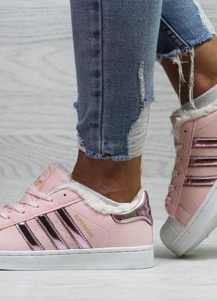 Женские кеды adidas superstar зимние теплые качественные яркие кеды в стиле адидас на меху  розовые