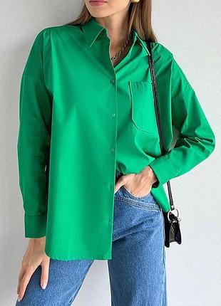 Рубрика софт яркие цвета