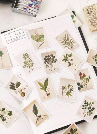 Креативні наліпки рослин у вигляді марок ☘️2 фото