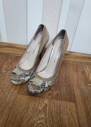 Туфли fellini, кожа