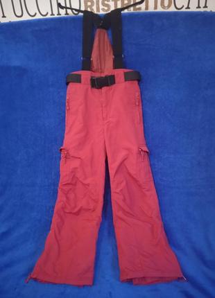 Теплі штани - комбінезон 10 унісекс