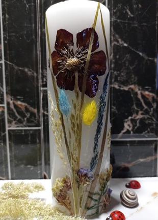Свечи, свечи с сухоцветами, декоративные свечи