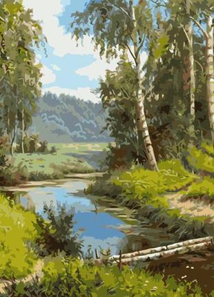 Картина за номерами va-1521 річка в березовому гаю, 40х50см. strateg