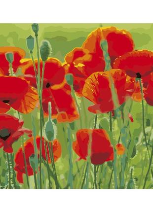 Картина по номерам va-2660 маки в поле, 40х50 см strateg картины раскраски по номерам 2022 в украине