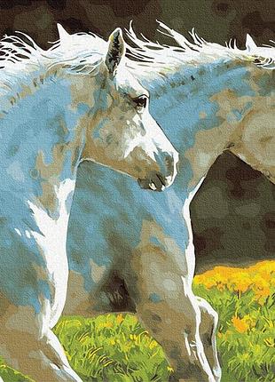 Картина за номерами 40х50см. gx30151 пара білих коней rainbow