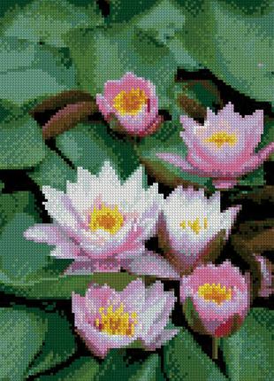 Алмазна картина hx105 річне латаття, 30х40см strateg на підрамнику, у подарунковій упаковці