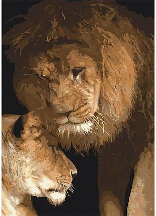 Картина по номерам кно2489 сила любви 35*50см идейка картины раскраски по номерам 2022 в украине