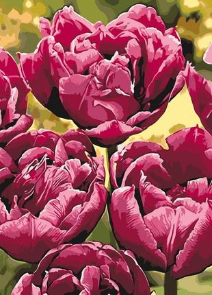 Картина по номерам изысканная элегантность кно3057, 40х50см. идейка картины раскраски по номерам 2022 в