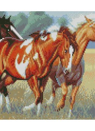 Алмазна мозаїка hx389 дикі коні, 30х40см strateg на підрамнику, у подарунковій упаковці