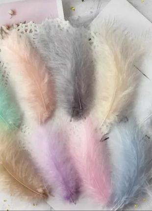 Пір'я кольорове по 15шт перья декоративные цветные от живой птицы ассорти набор 15шт