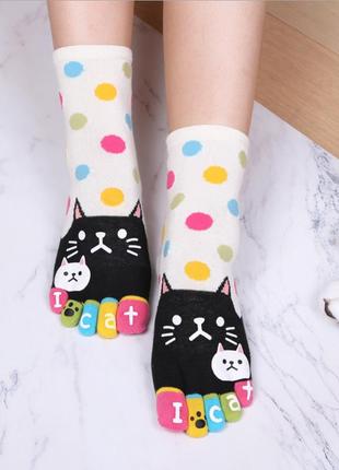 Носки с пальцами привет кот jokejolly 36-40 белый