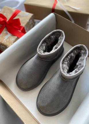 Уггі ugg ultra mini grey7 фото