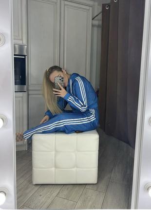 Женский костюм adidas gucci монограмм5 фото