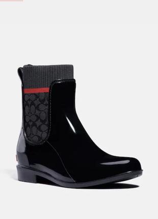 Чоботи гумові coach