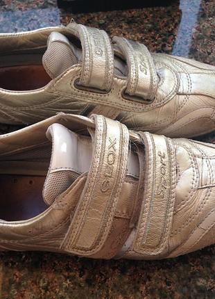 Кожаные красовки geox