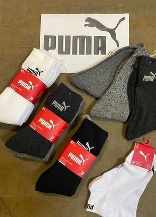 Шкарпетки puma оригінал 3шт