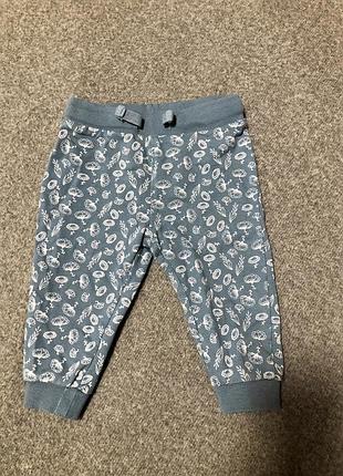 Брюки, штанишки