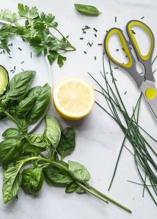 Кухонные ножницы mestro mr-1440 код товара: 3694664