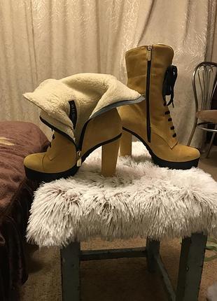 Півчобітки зима carlo pazolini