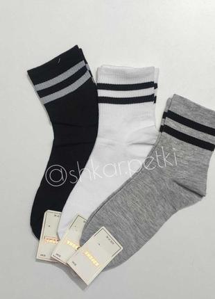Набір 3 пари носки шкарпетки з полосками смугасті однотонні набір