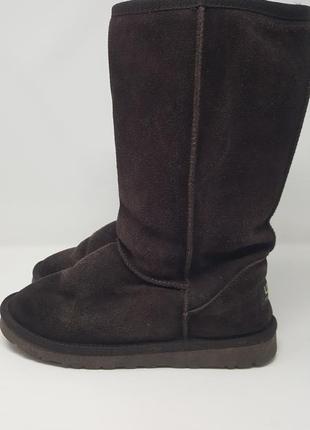 Теплые зимние угги ugg4 фото